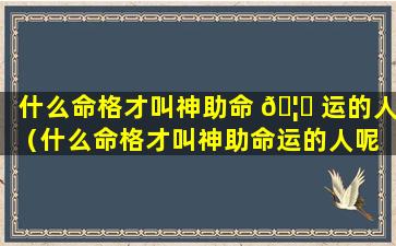 什么命格才叫神助命 🦟 运的人（什么命格才叫神助命运的人呢 🐛 ）